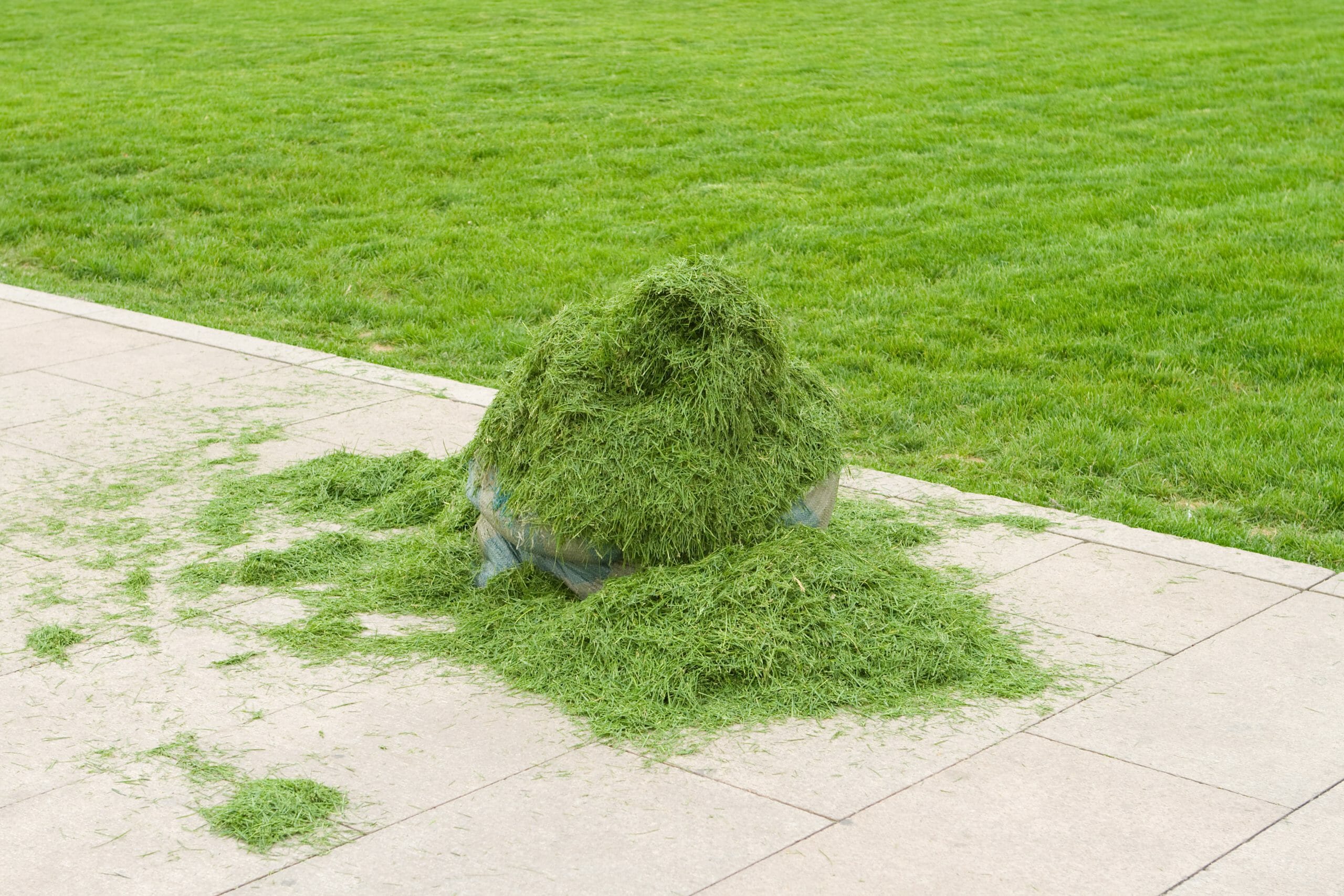 bagging lawn clippings