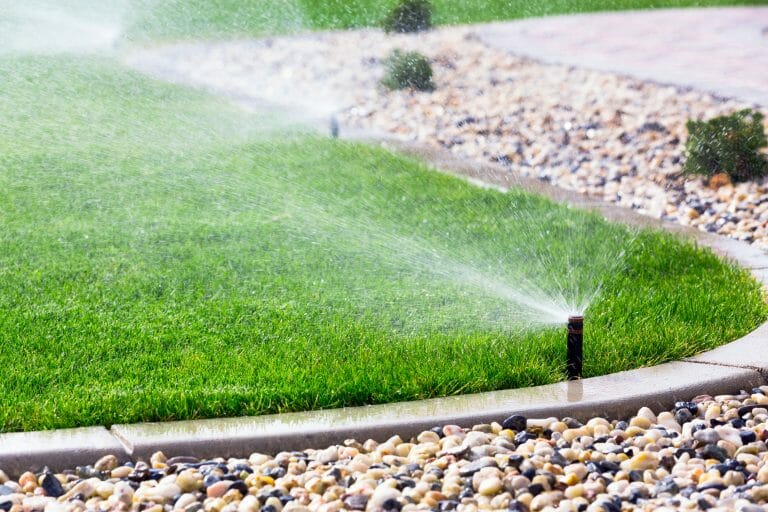watering your lawn after applying fungicide