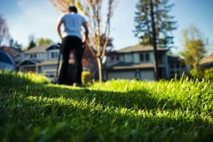 How Long After Planting Grass Seed Can You Walk On It? - Grow Your Yard