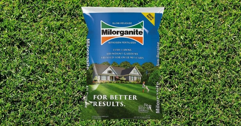 how long does milorganite take to work on your lawn