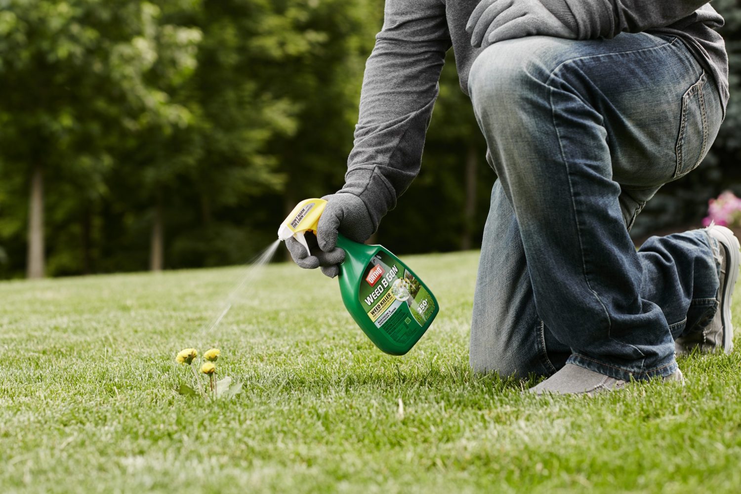 How Long Does Weed B Gon Take to Dry? Grow Your Yard