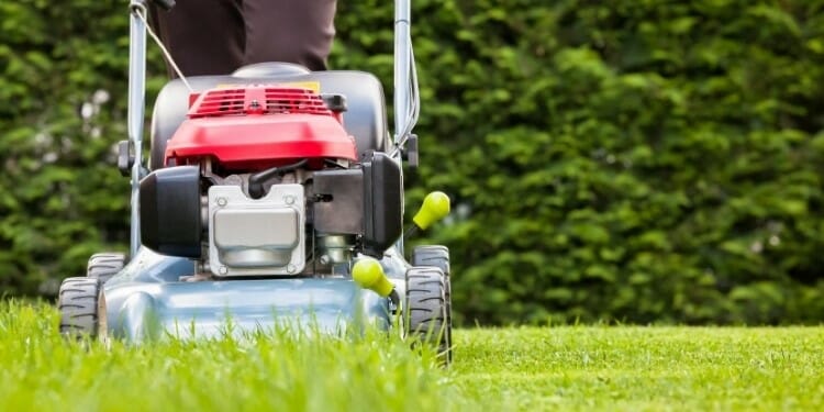 mowing your grass