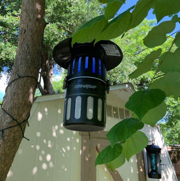 Best Outdoor Mosquito Repellent System [2020's 5 Top Systems!] | Grow
