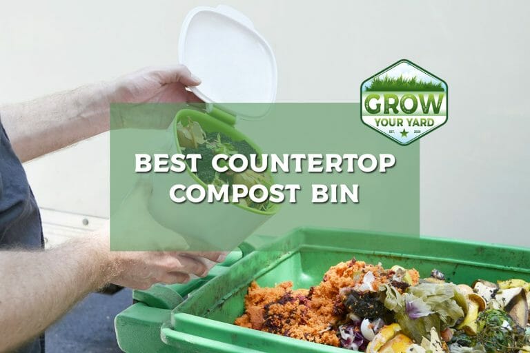 best countertop compost bin