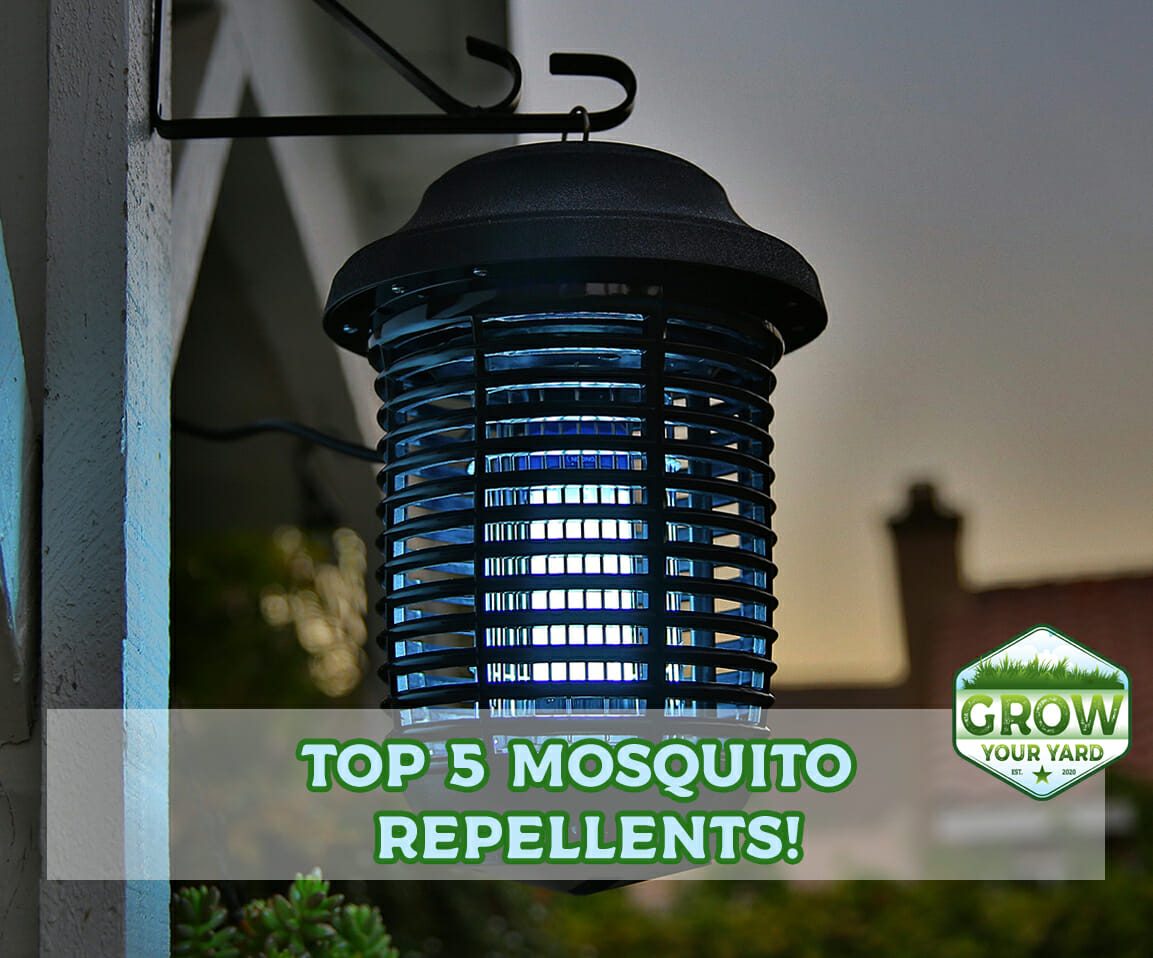 Best Outdoor Mosquito Repellent System [2022's 5 Top Systems!] - Grow ...