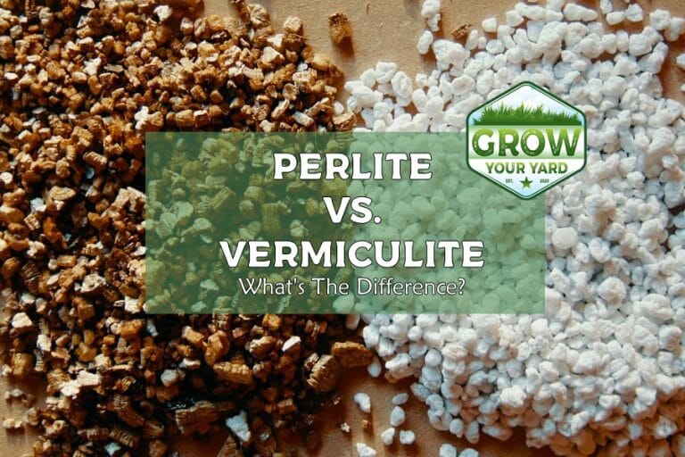 perlite vs vermiculite