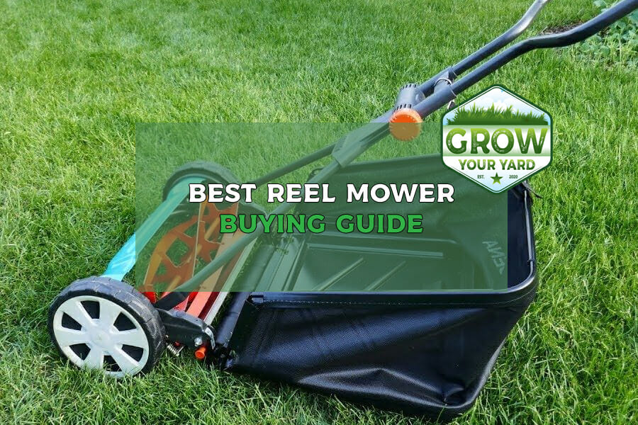 best reel mower