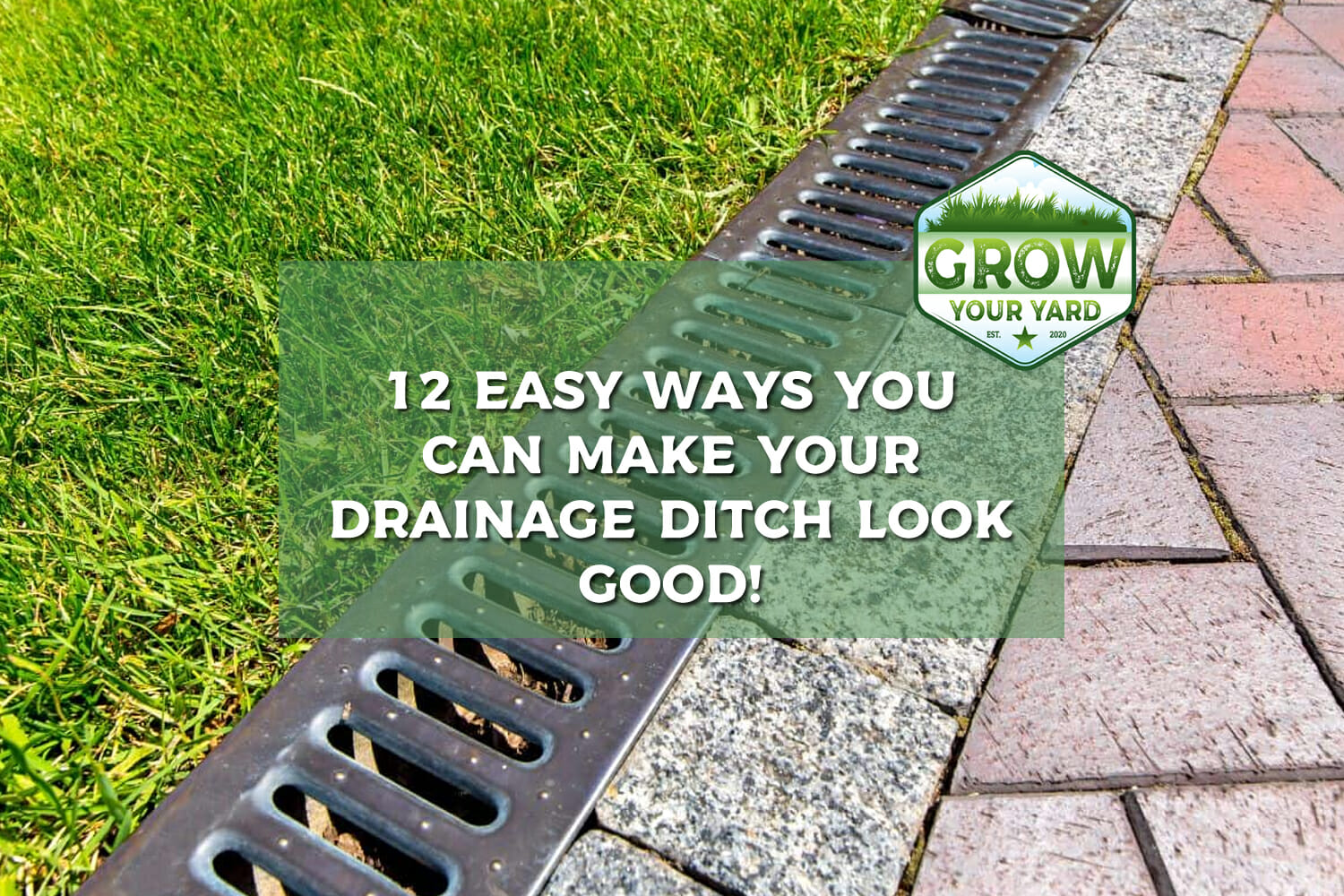 12 Easy Ways You Can Make A Drainage Ditch Look Good Grow Your Yard