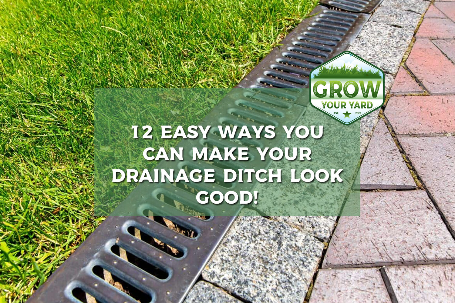 12 Easy Ways You Can Make a Drainage Ditch Look Good! Grow Your Yard