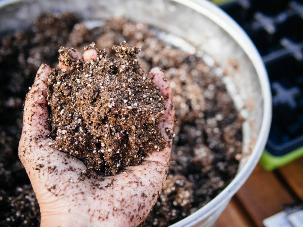 how much perlite should you add to potting soil