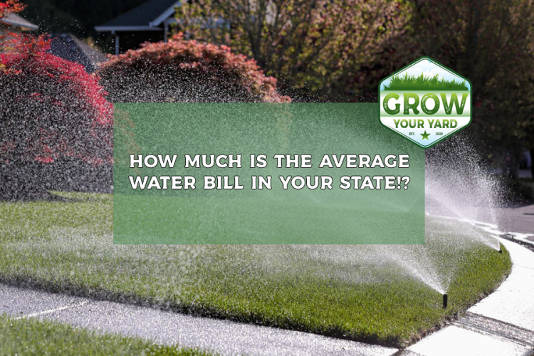 how-much-is-the-average-water-bill-in-your-state-grow-your-yard