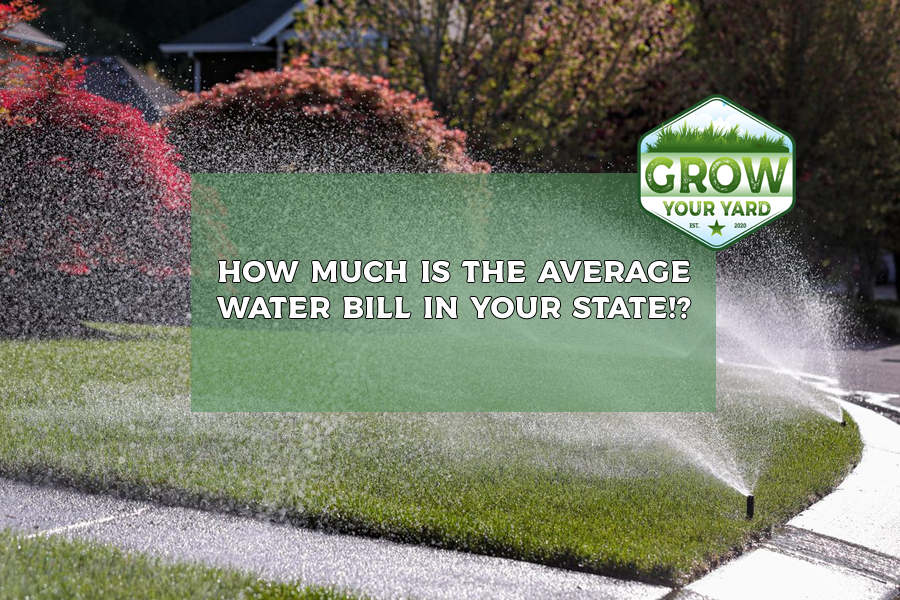 how much is the average water bill in your state