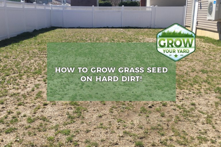 how to grow grass seed on hard dirt