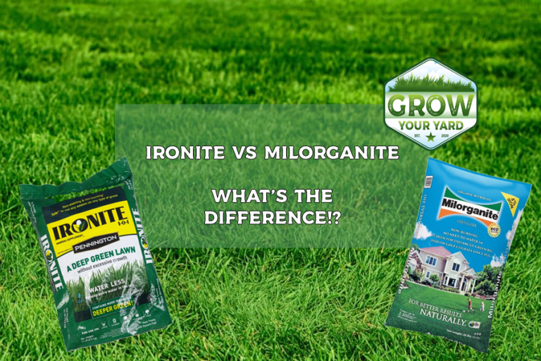 ironite vs milorganite