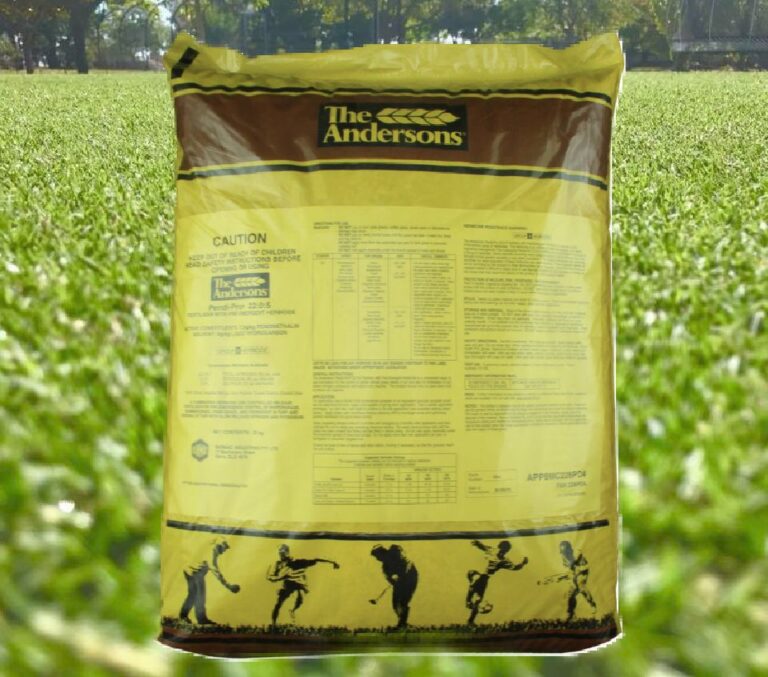 2024's 5 Best PreEmergent Herbicides [Reviews &