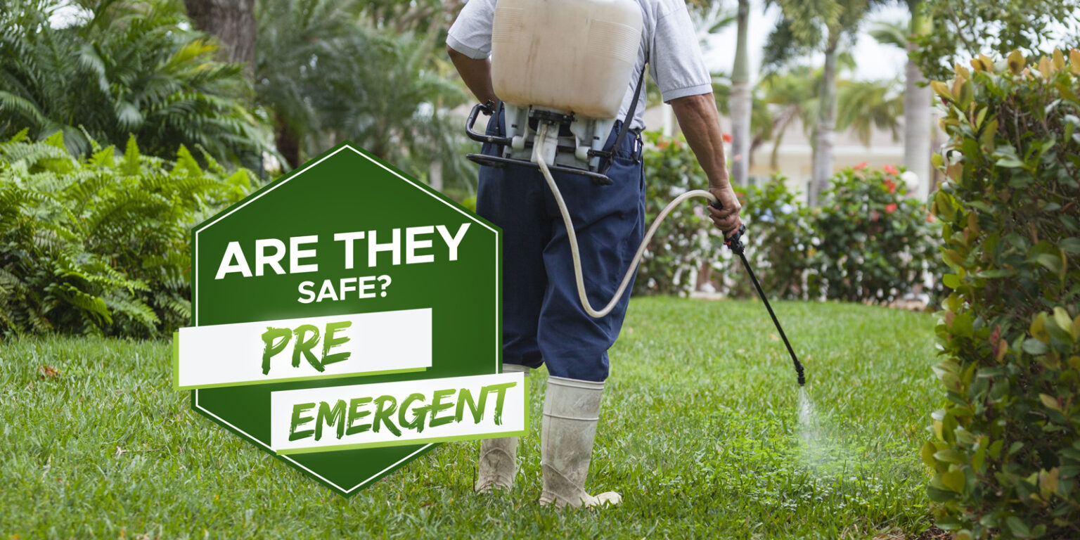 Are Pre-Emergent Herbicides Safe? [When & How To Use Them] - Grow Your Yard