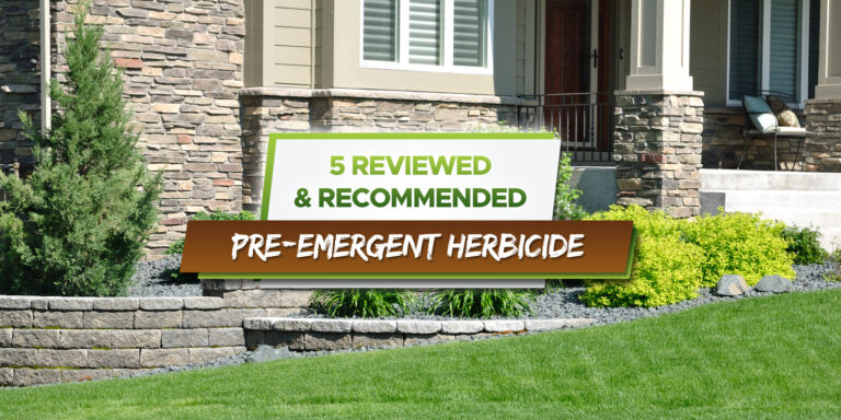 best-pre-emergent-herbicide
