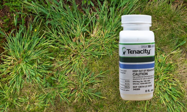 2024's 5 Best Pre-Emergent Herbicides [Reviews & Recommendations ...