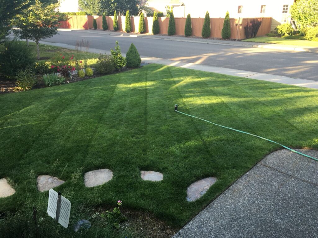When To Apply Iron To Lawn? [Iron Is The Key To a Green Lawn] Grow