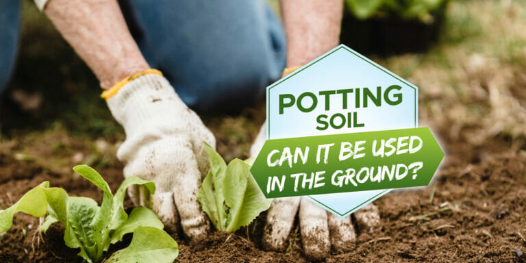 can yo use potting soil in the ground