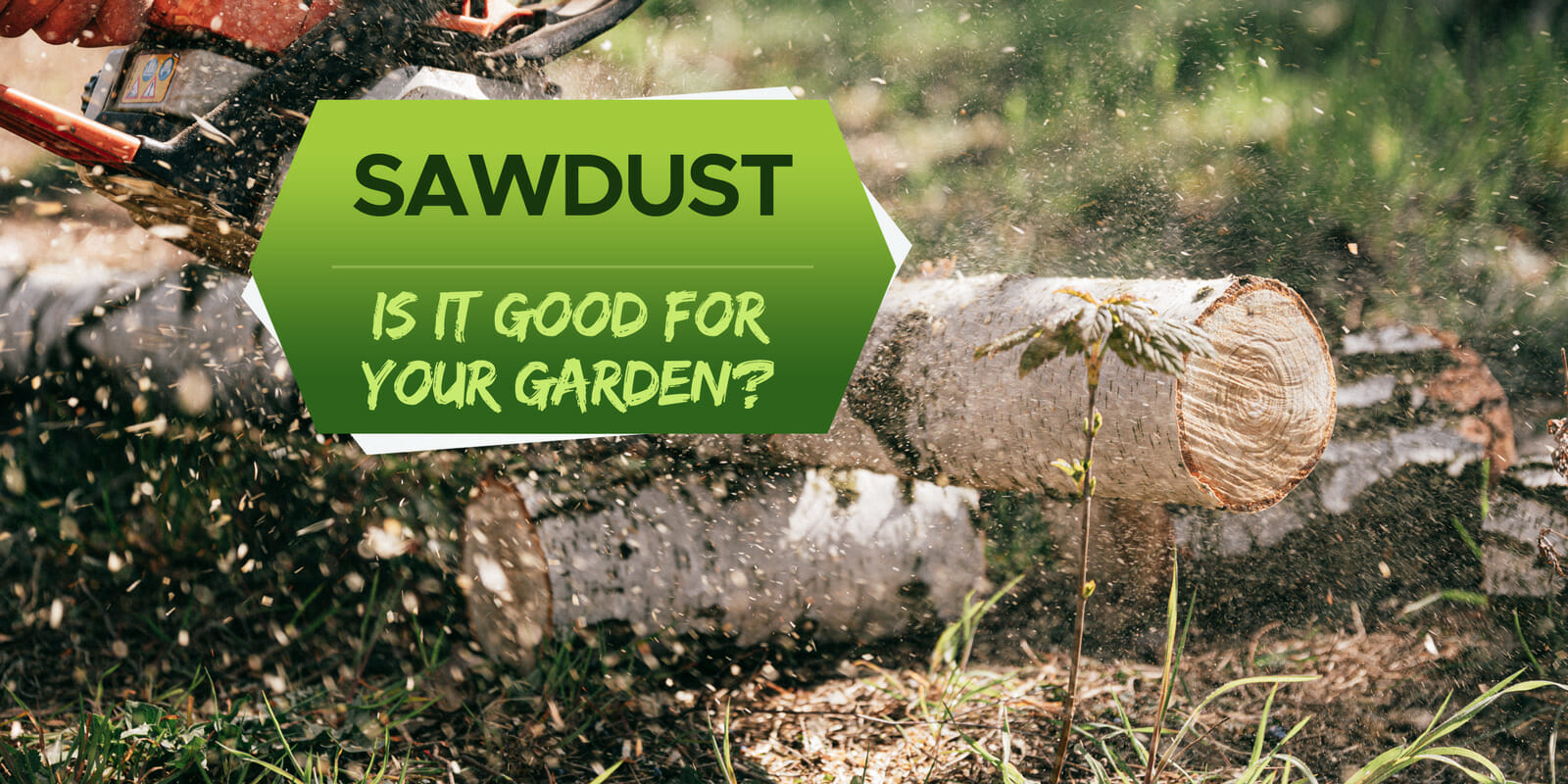 is sawdust good for a garden