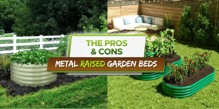 Pros And Cons Of Metal Raised Garden Beds Our Recommendations Grow Your Yard