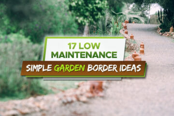 low maintenance garden border ideas