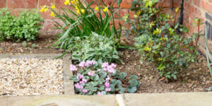 17 Low Maintenance Garden Border Ideas [Easy & Simple Ideas!] - Grow ...