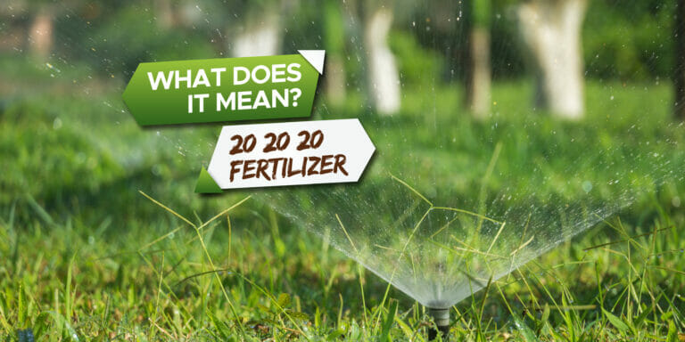 what does 20 20 20 fertilizer mean