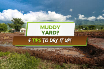how to dry up muddy yard