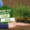 how to lower ph in your soil