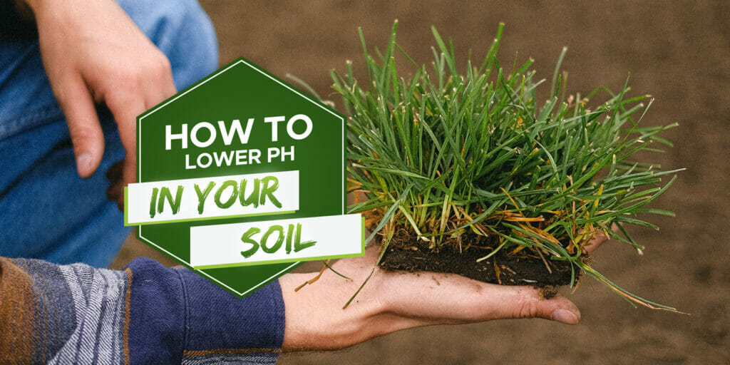 how-to-lower-ph-in-soil-why-when-and-how-grow-your-yard