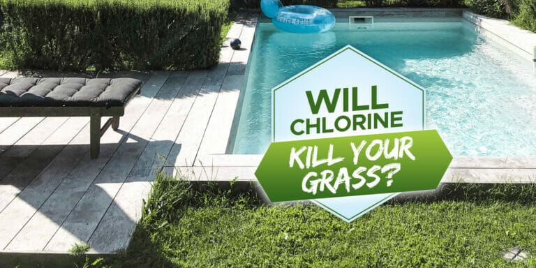 will chlorine kill grass