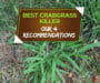 Best Crabgrass Killer [4 Unbiased Recommendations 2022]