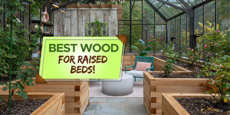 best wood for raised beds