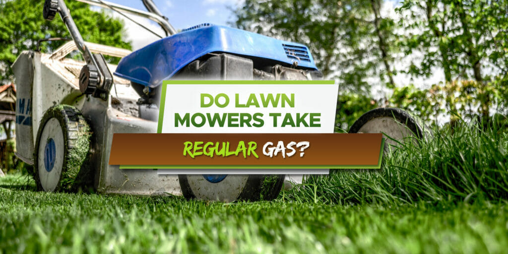 Do Lawn Mowers Take Regular Gas? All You Need to Know About Running ...