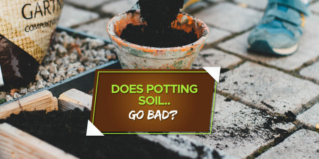 does potting soil go bad