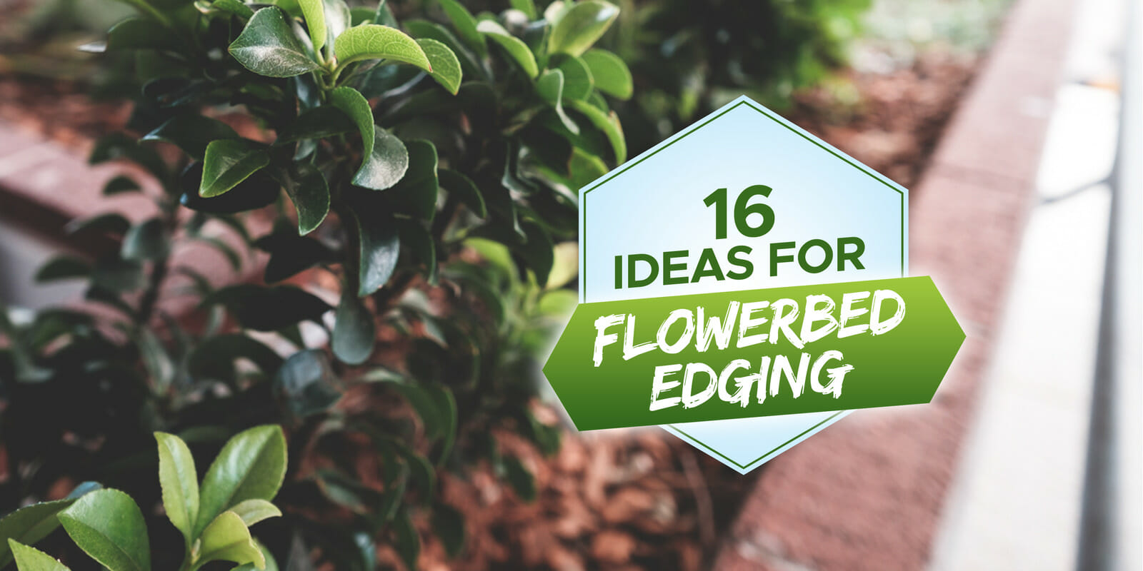 flowerbed edging ideas