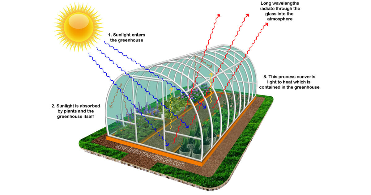 learning how a greenhouse works