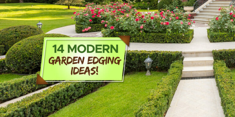 modern garden edging ideas