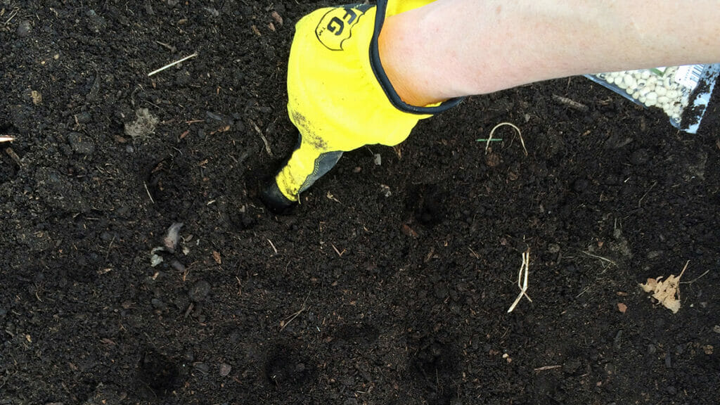 How to Add Nitrogen to Soil? [Explained] Grow Your Yard