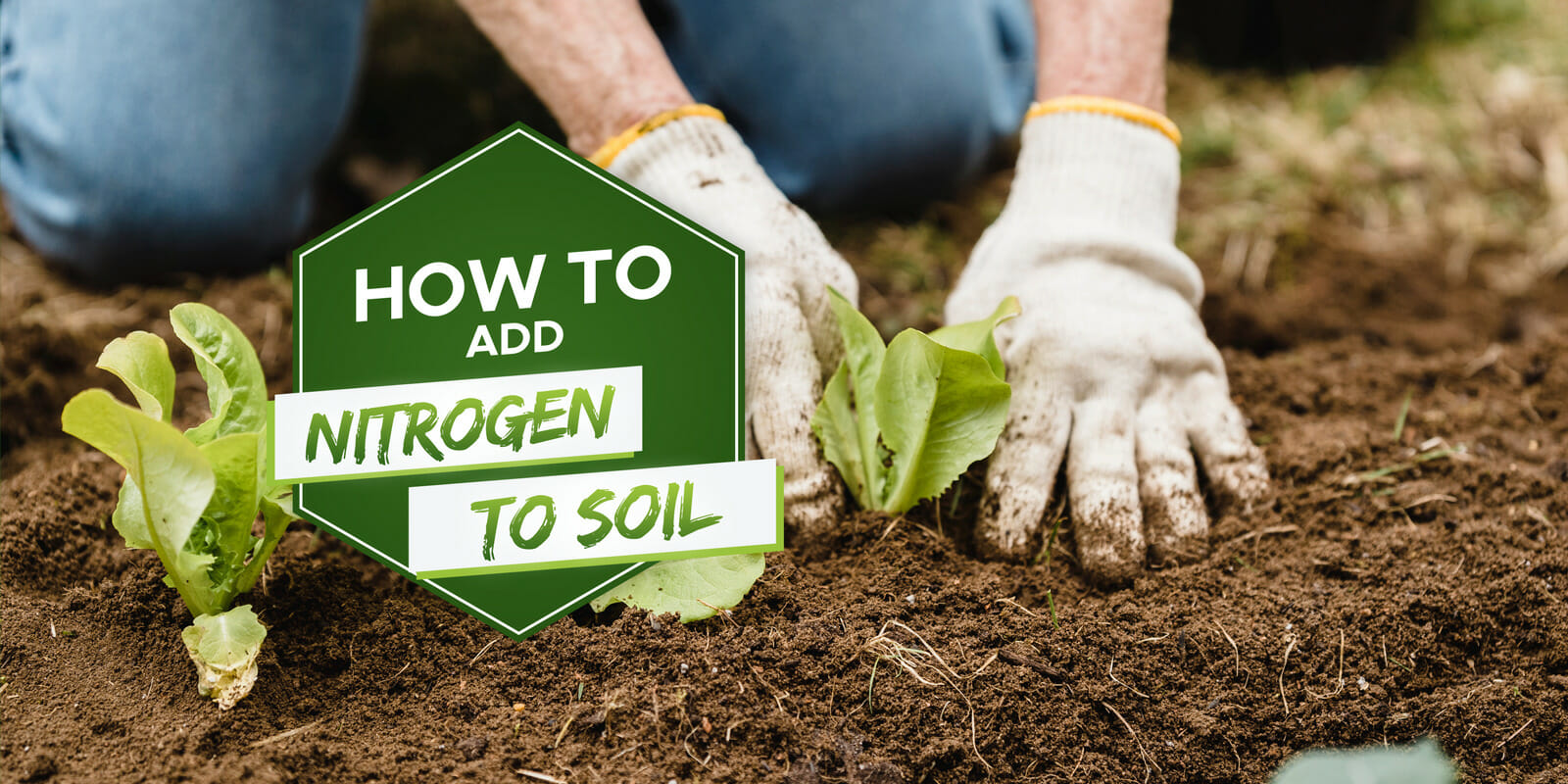 how to add nitrogen to soil