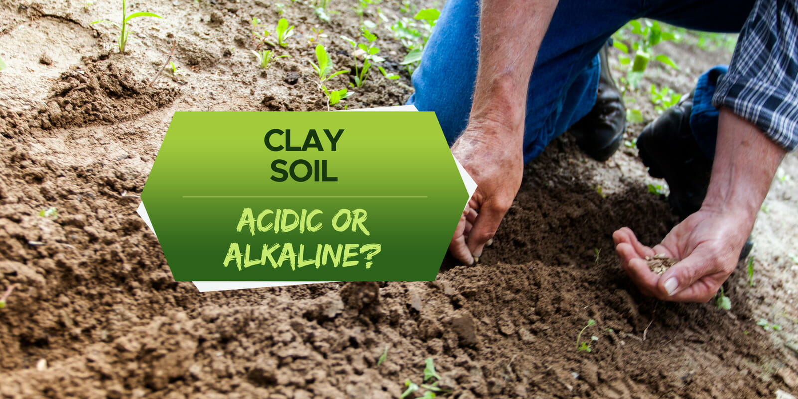 is clay soil acidic or alkaline