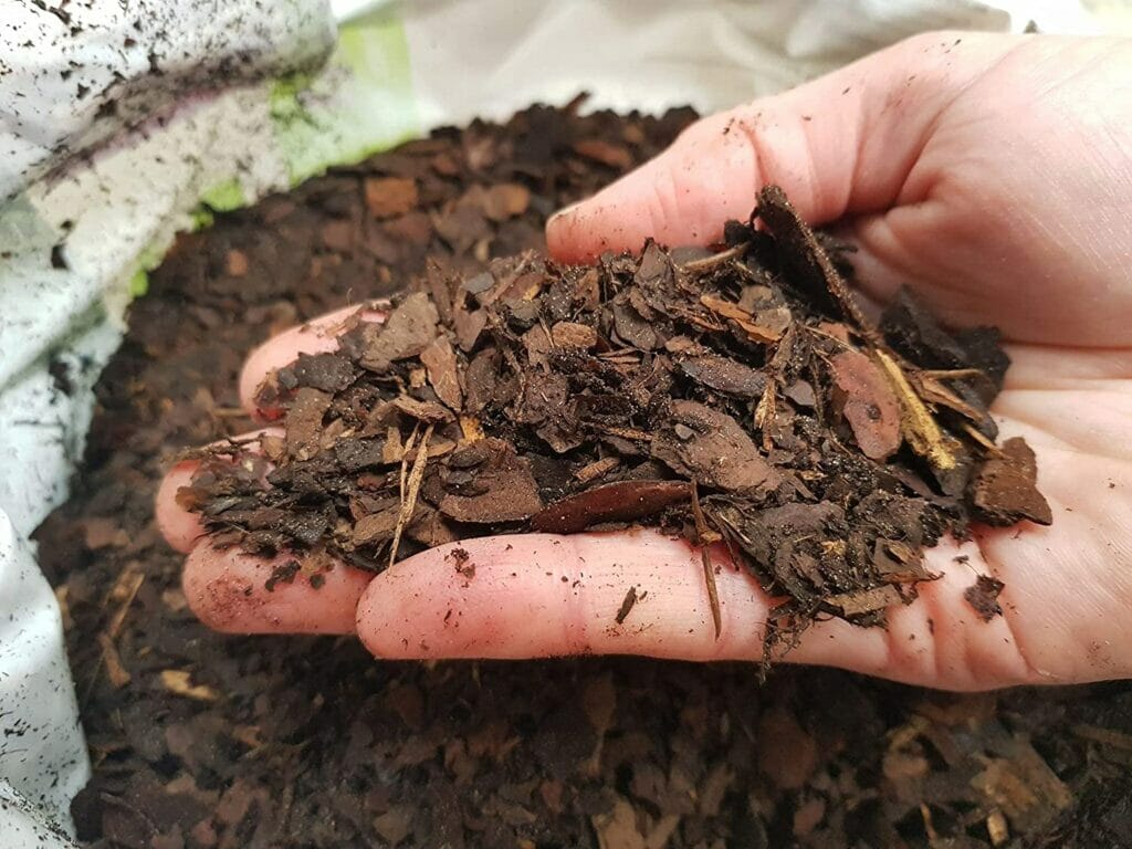 How to Add Nitrogen to Soil? [Explained] Grow Your Yard