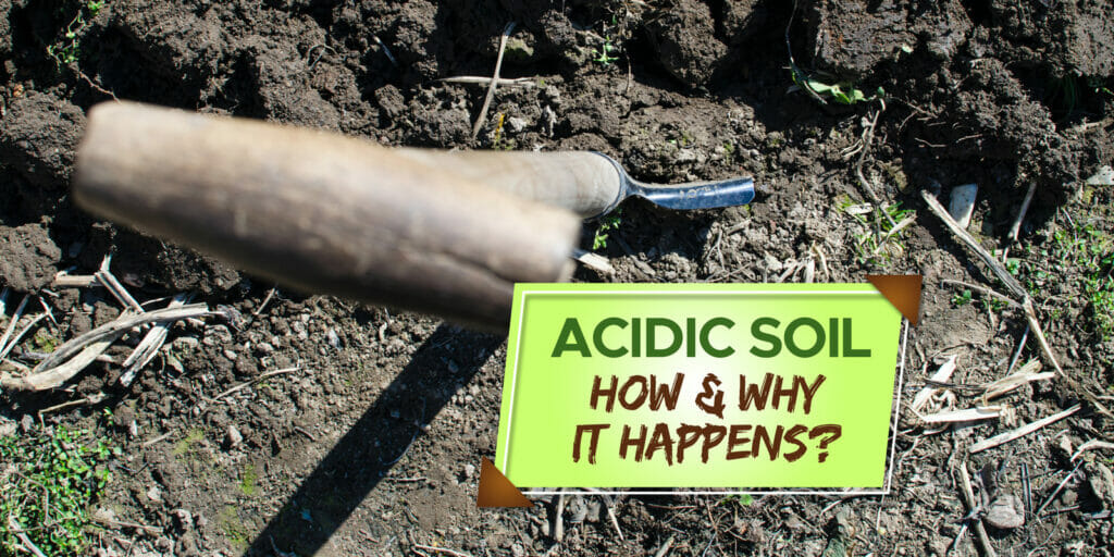 why-does-soil-become-acidic-explained-grow-your-yard