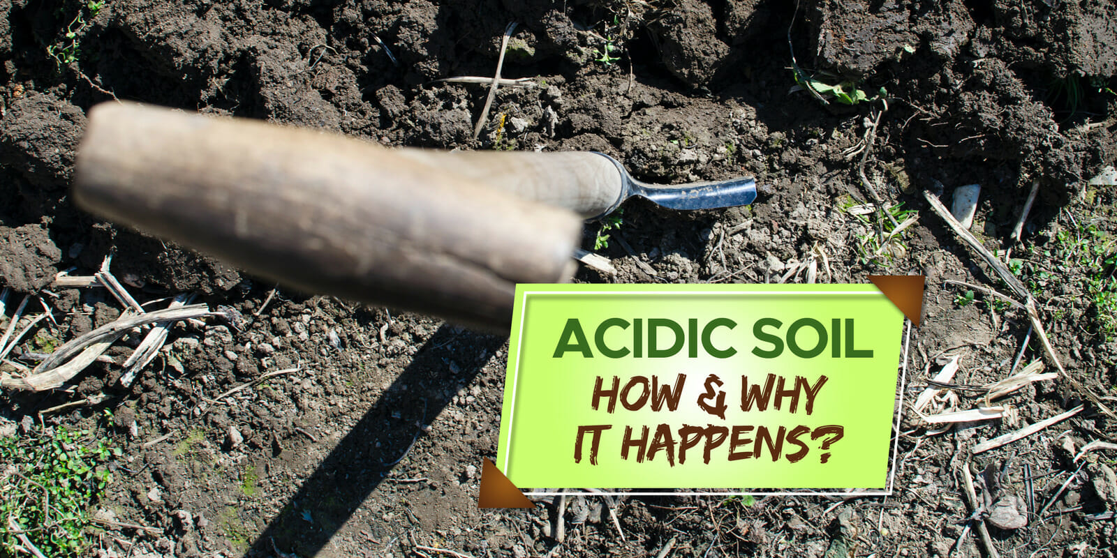 why does soil become acidic