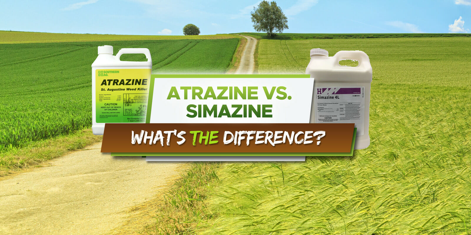 atrazine vs simazine