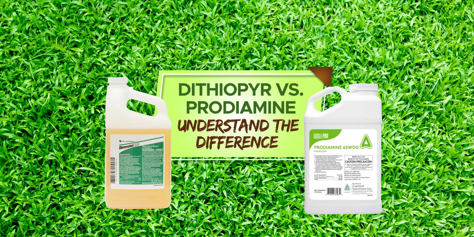 dithiopyr vs prodiamine