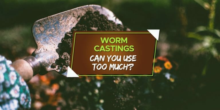 can you use too much worm castings
