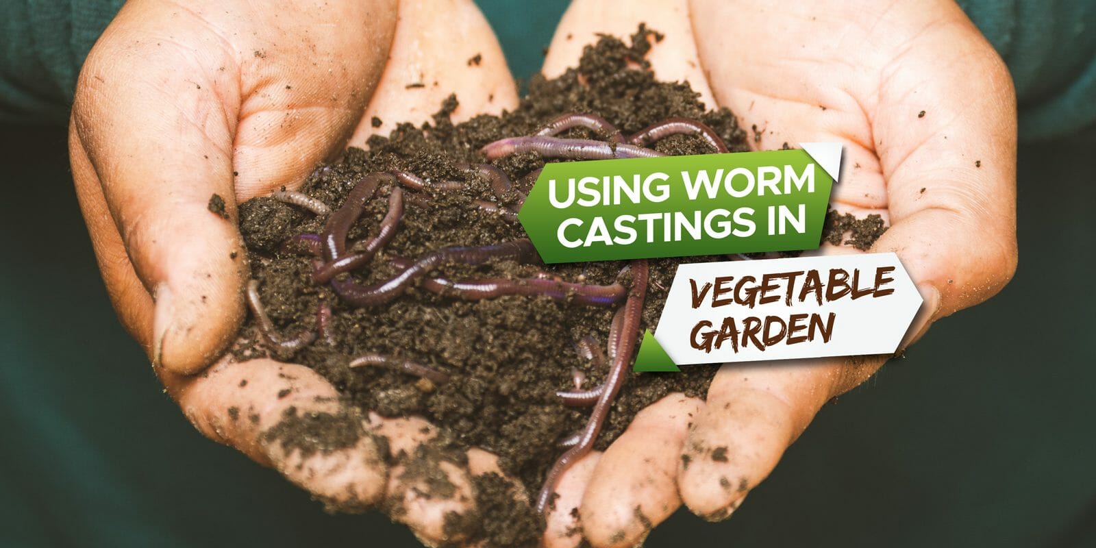how to use worm castings in a vegetable garden